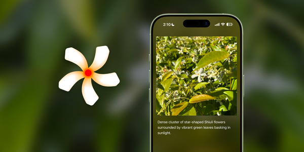 Introducing Shiuli: Images made accessible